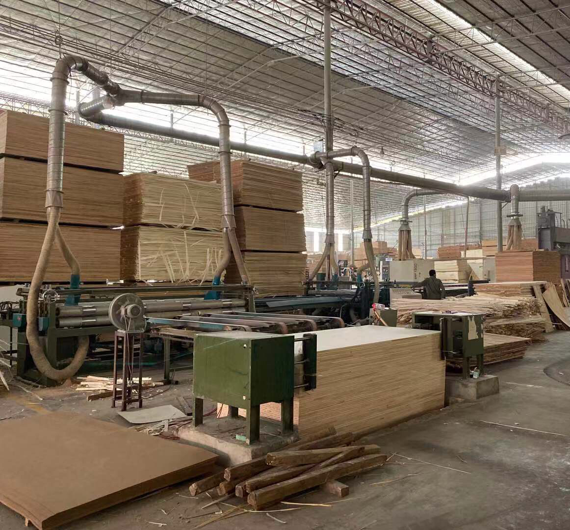 千千树板材生产车间